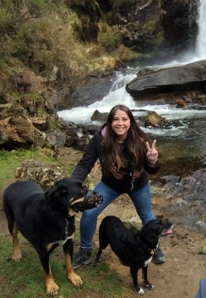 Perro border collie disfrutando de un paseo con vistas al mar